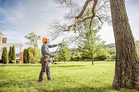 Escondido, CA Tree Care Company
